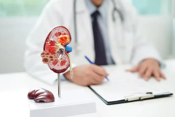 Urology